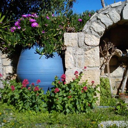 Aloni Daire Kamilari Dış mekan fotoğraf