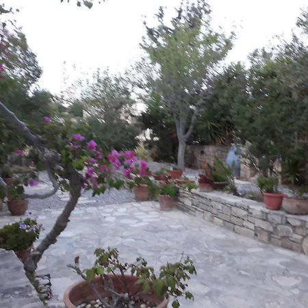 Aloni Daire Kamilari Dış mekan fotoğraf