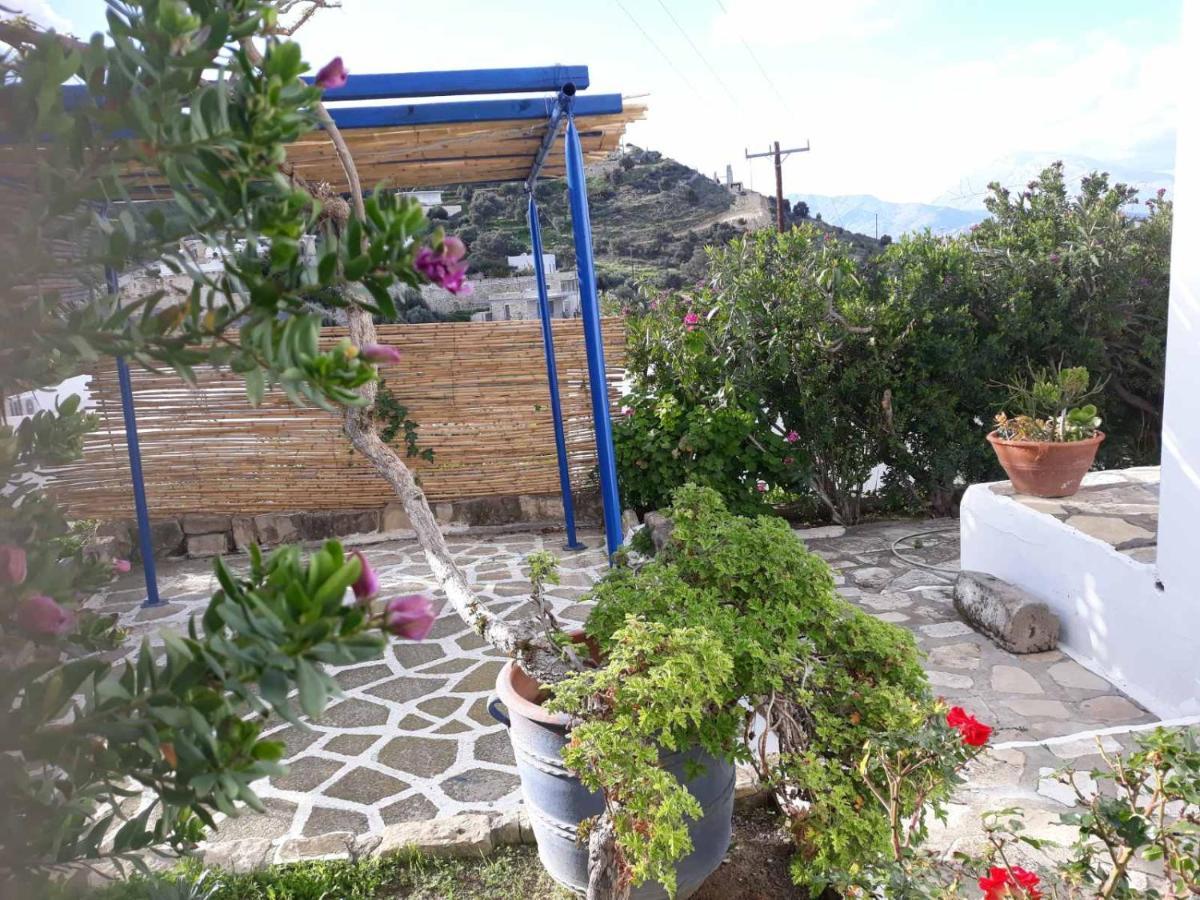 Aloni Daire Kamilari Dış mekan fotoğraf