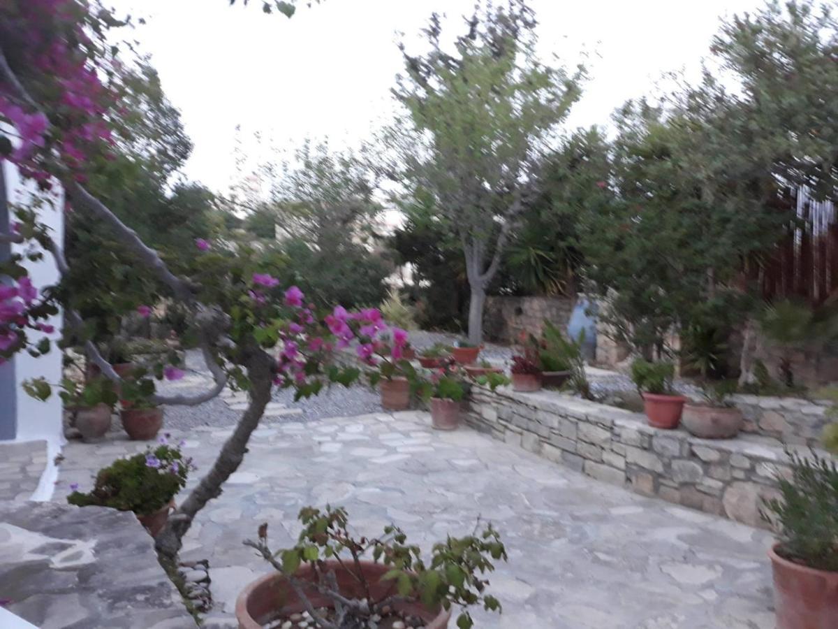 Aloni Daire Kamilari Dış mekan fotoğraf